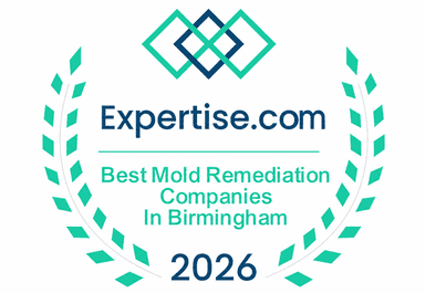 Expertise.com Best Mold Remediation in Birmingham 2026