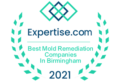 Expertise.com Best Mold Remediation in Birmingham 2021